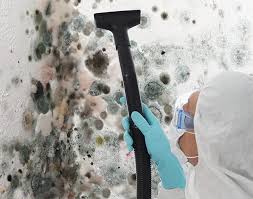 Best Environmental Consulting for Mold Prevention  in La Porte, IN